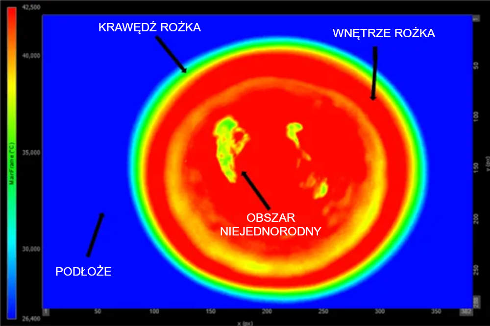 ice cream cone production 3